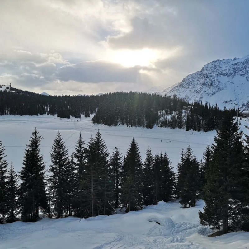 Rifugio Alpe Palu - Da Beppe