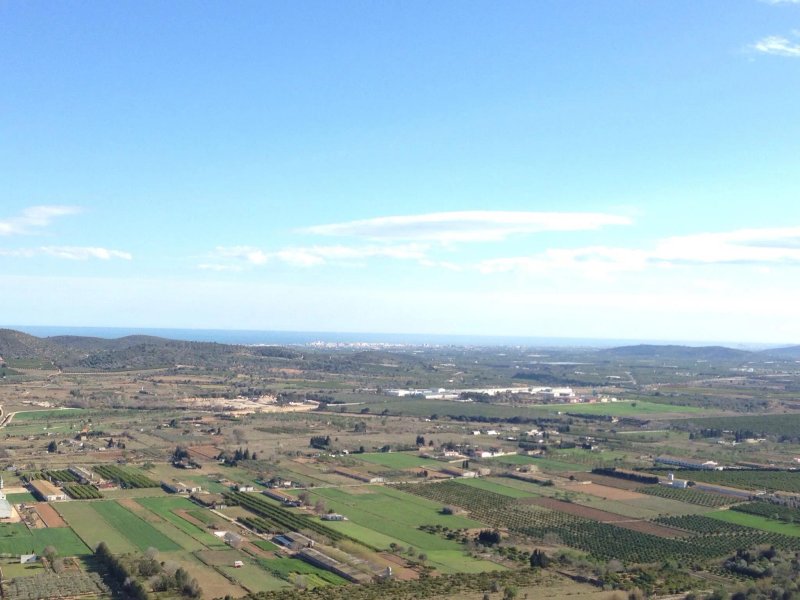 The Medieval Castle of Ulldecona