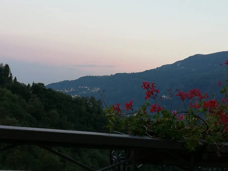 Gritti
