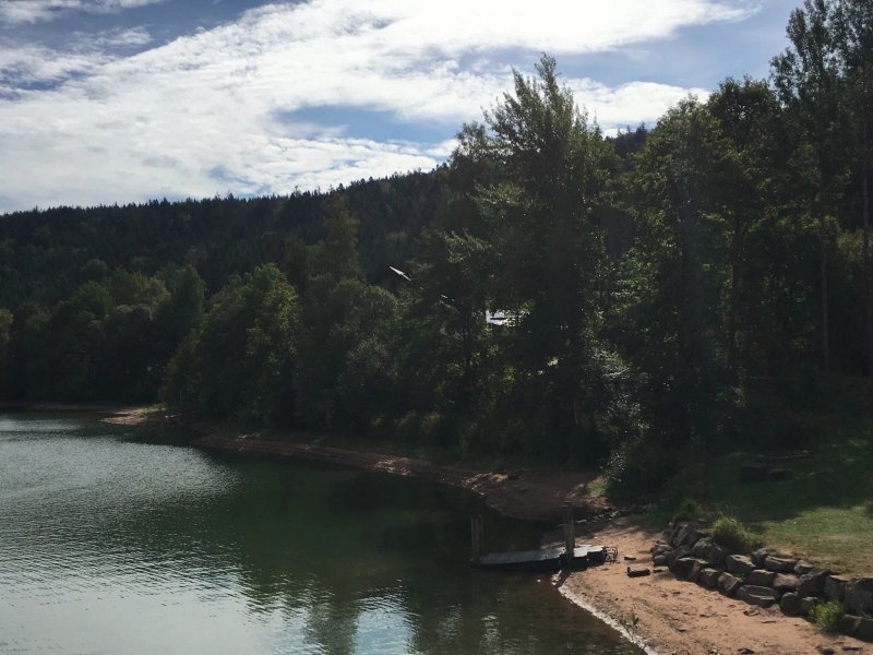 Gasthof Und Cafe Zum Seeheiner