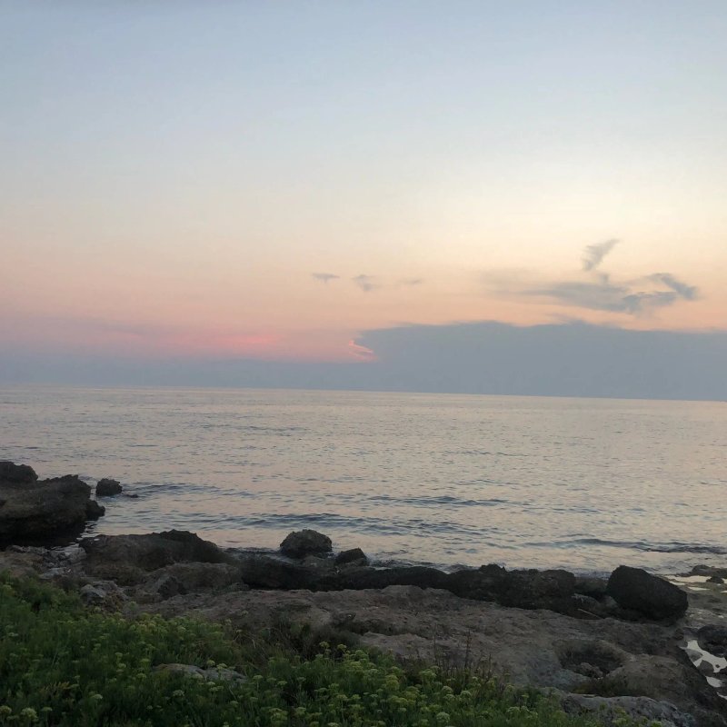Ripatemare