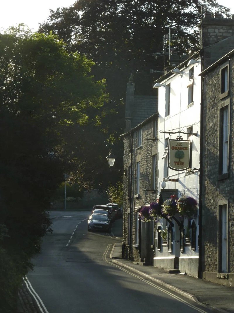 The Orange Tree