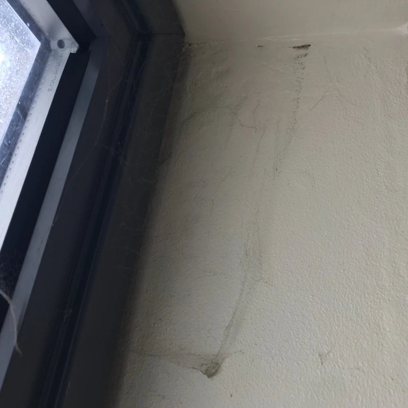 Bliss Apartments
