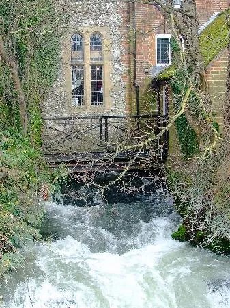 The Somerset Arms