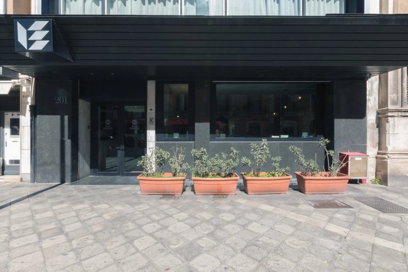 Executive Business Hotel