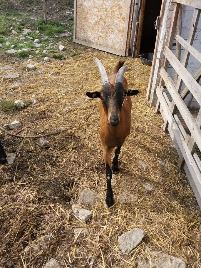 Agriturismo Nonna Nella