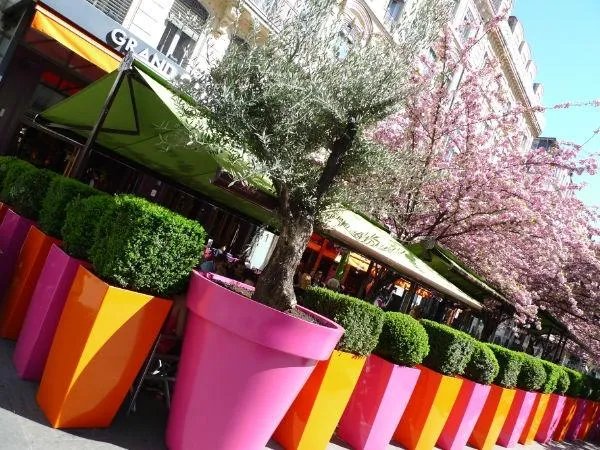 Le Grand Cafe Des Negociants