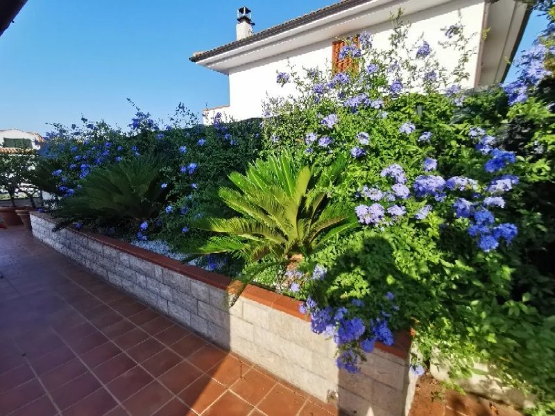 B&B Poggio del Sole