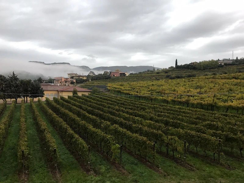 Relais Valpolicella B&B