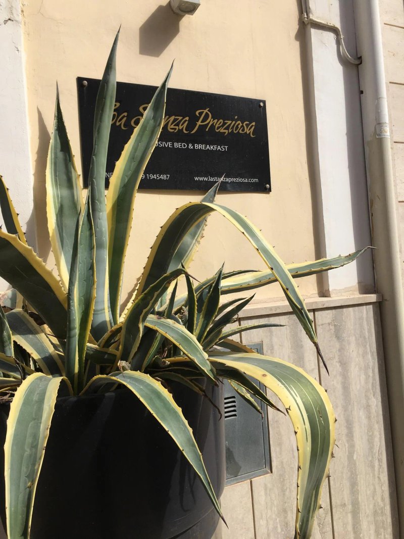 La Vista Preziosa Bed & Breakfast