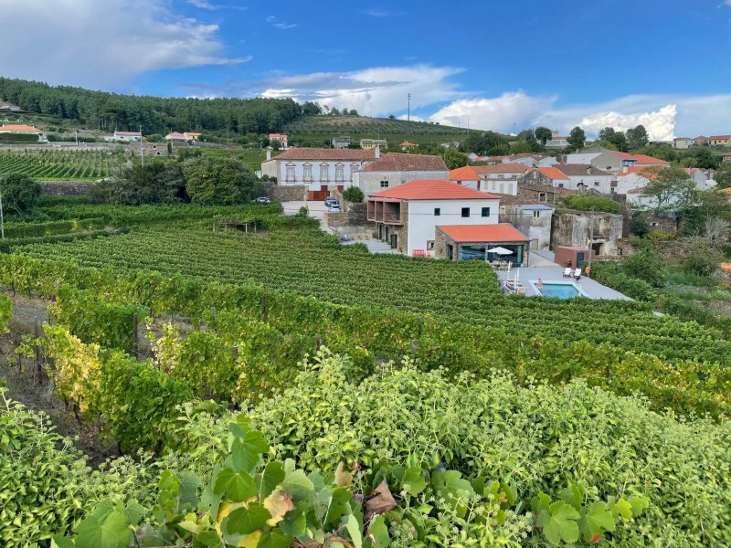 Casa do Santo - Wine & Tourism
