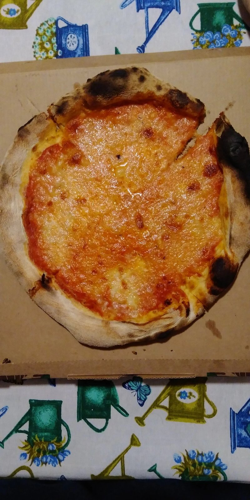 Dal Pugliese