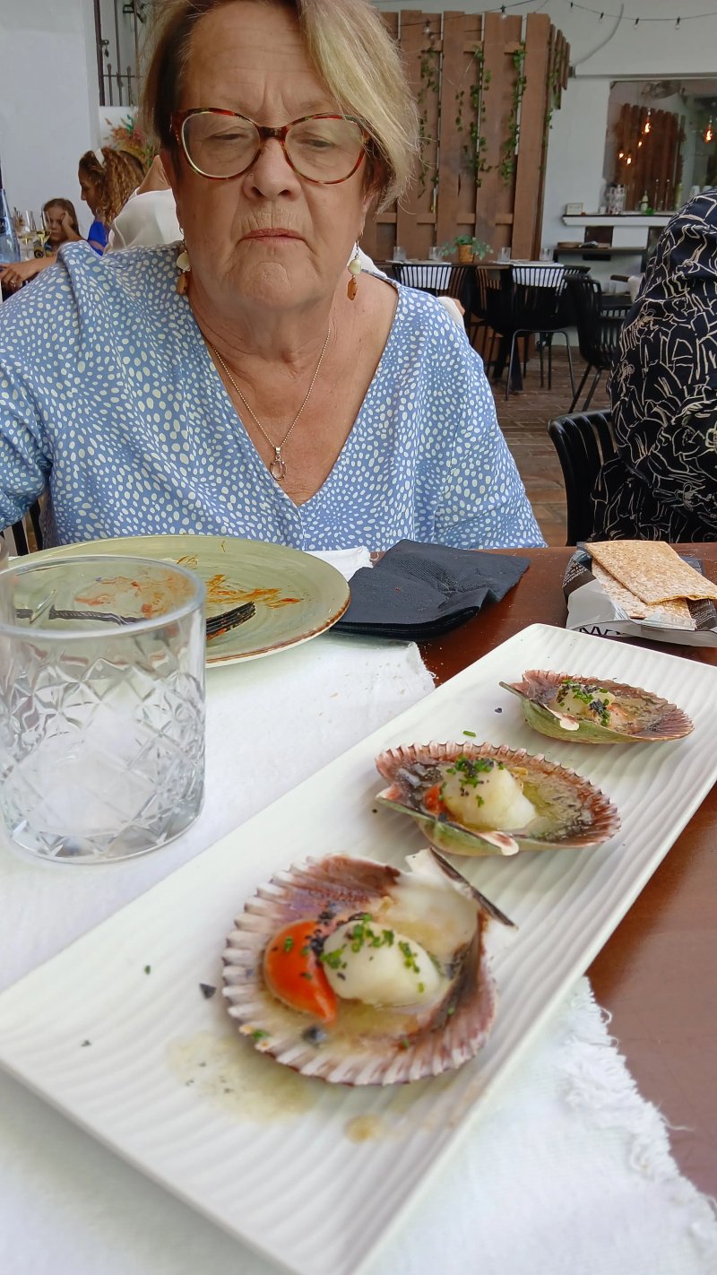 Hormaza 19 Gastrogrill