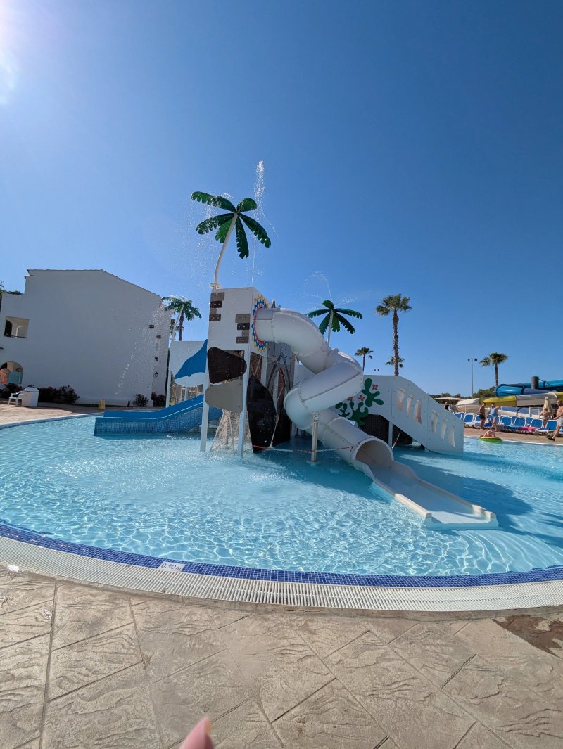 Globales Bouganvilla