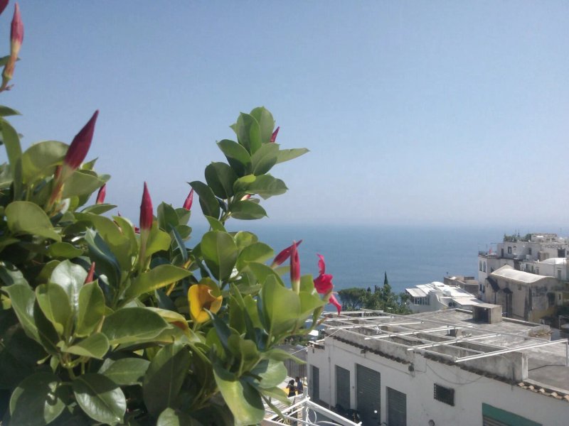Hotel Villa delle Palme