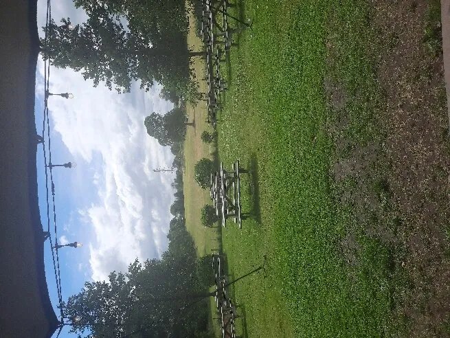 Forest Fence