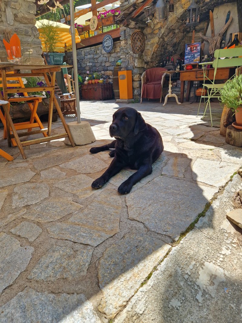 Ristorante Chiecco