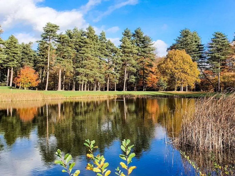 Forest Pines Hotel, Spa & Golf Resort