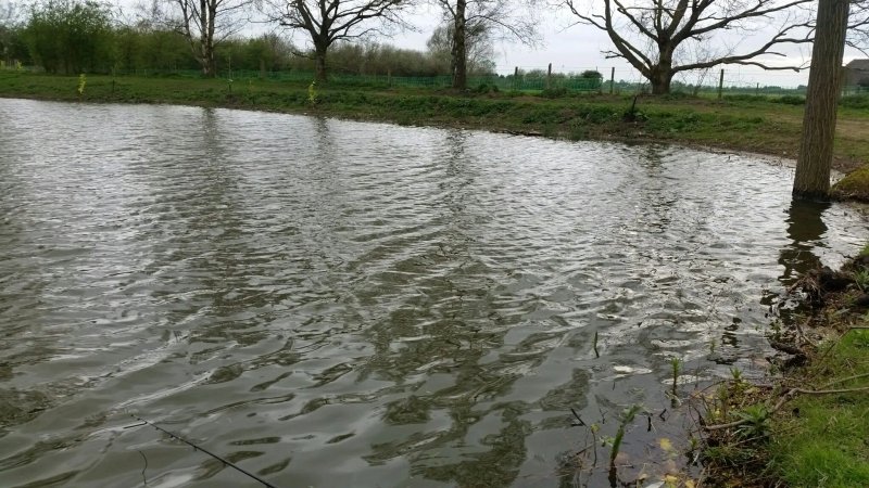 Woodlakes Park