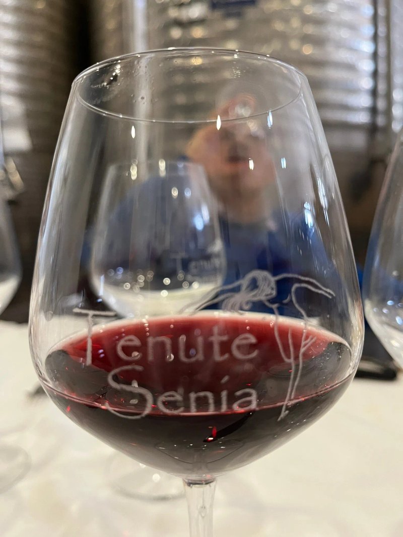 Tenute Senia, Vini Dal 1850