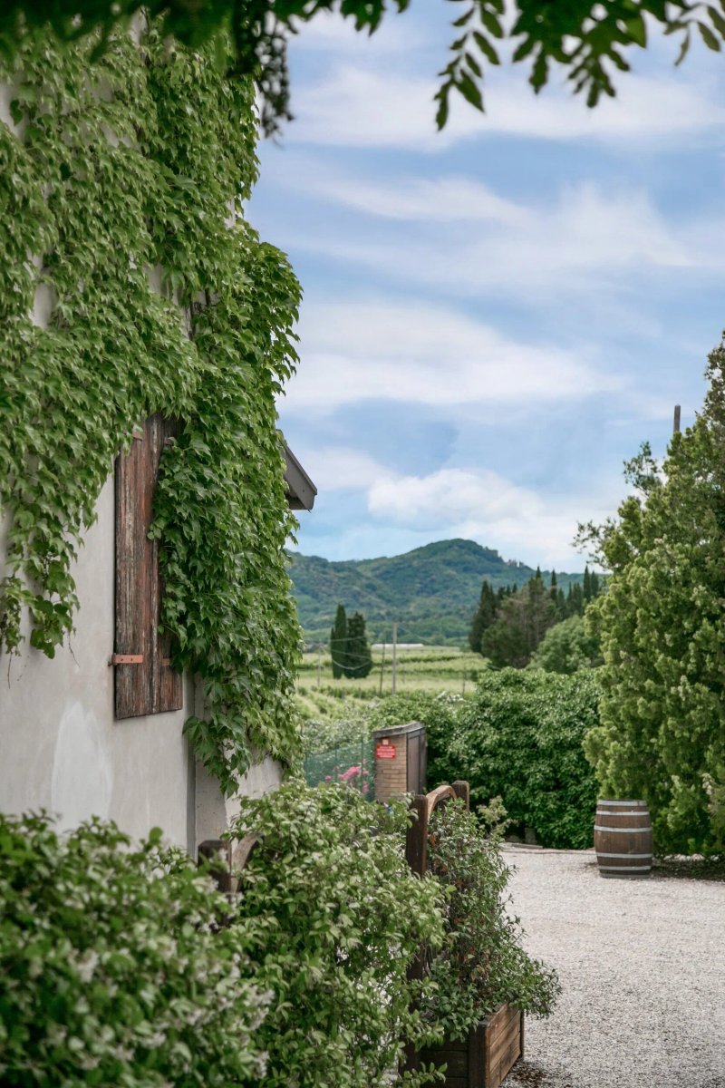 Osteria Solder
