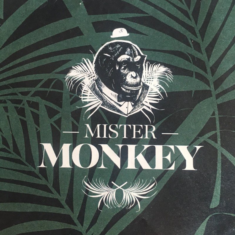 Mister Monkey