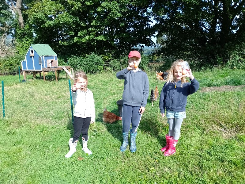 Ty Uchaf Farm Glamping