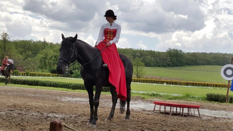 Lazar Equestrian Park