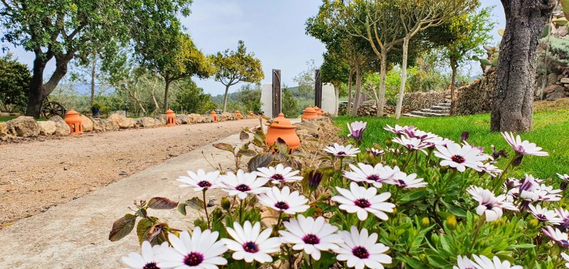 Agroturismo Can Marquet