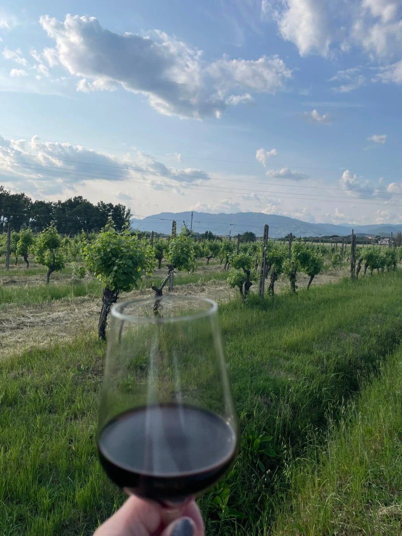 Agriturismo Tenute di Badia