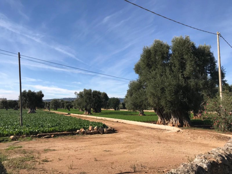 Agriturismo I Pozzetti