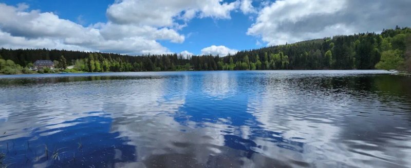 Kohlerei am See