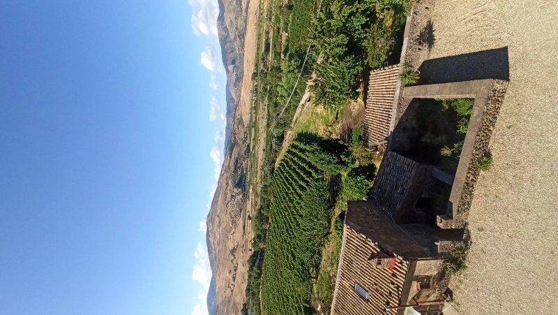 Feudo Vagliasindi