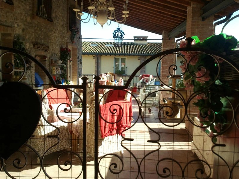 Delle Rose