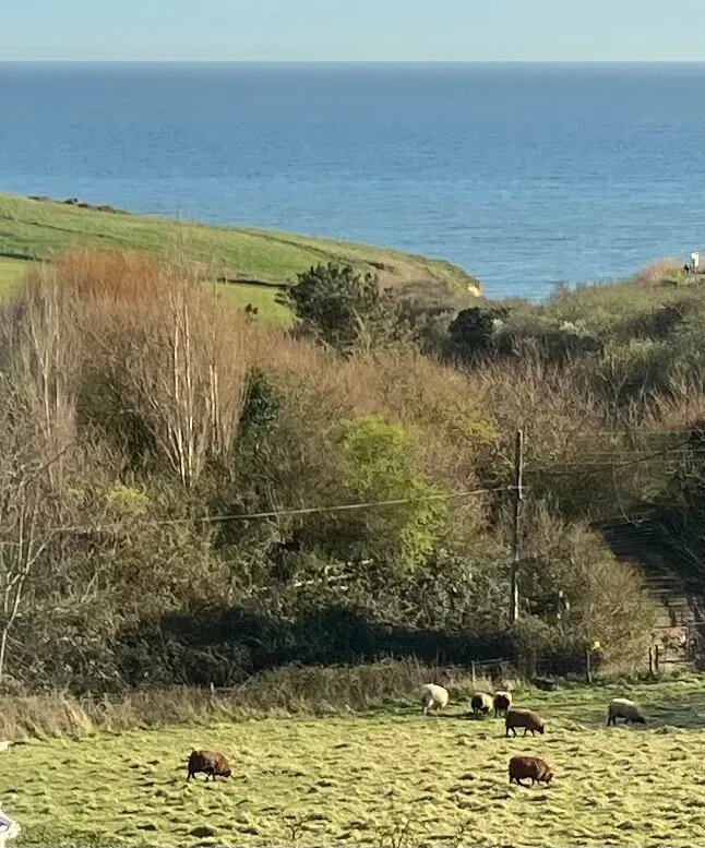 Eype's Mouth Country Hotel