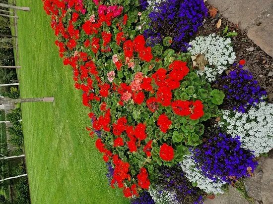 Orchard Gardens