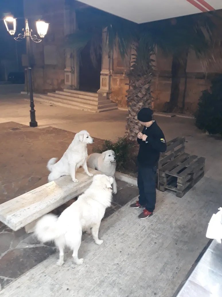 Mordi & Fuggi