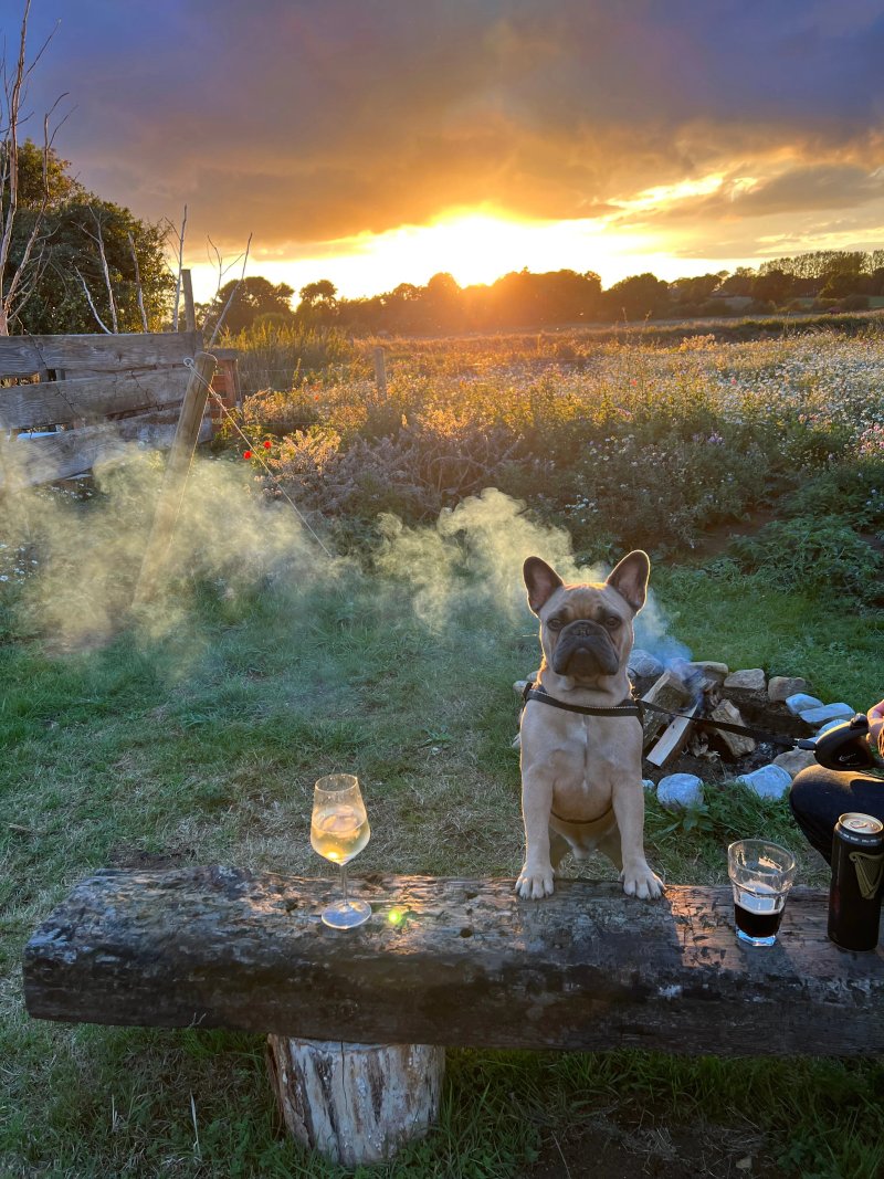 Bain View Glamping