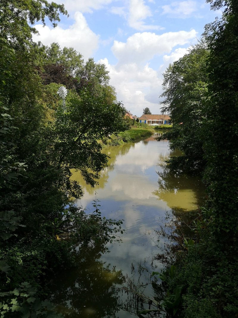 L'Etang Présent