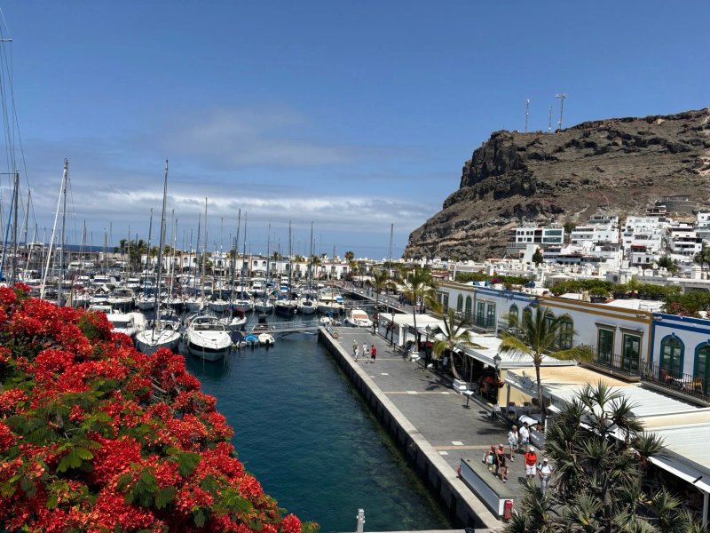 LIVVO Puerto de Mogán