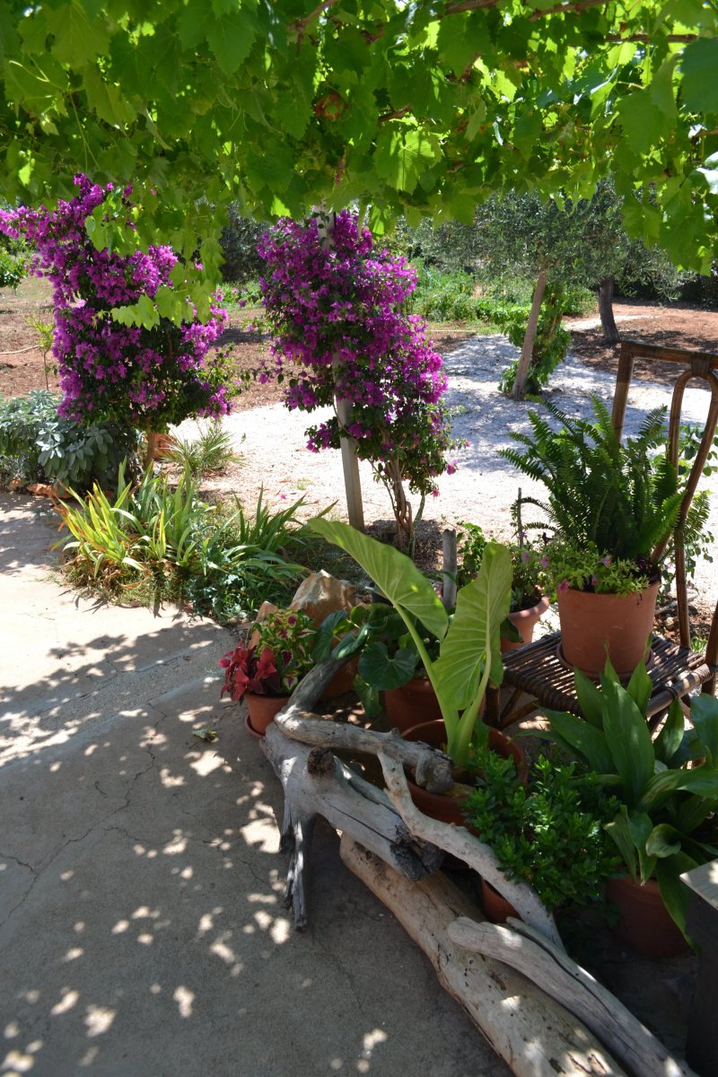 B&B La Casa Bianca Di Porto Conte