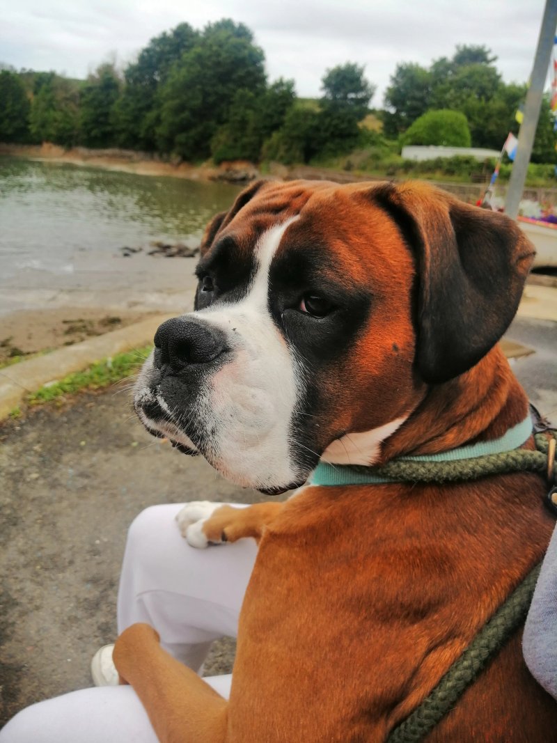 Watermouth Valley Camping Park