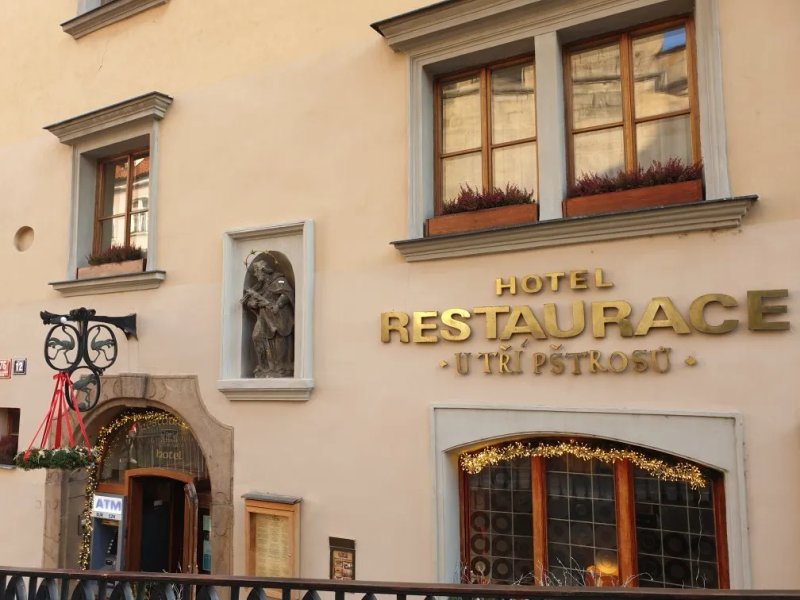 Hotel U Tri Pstrosu