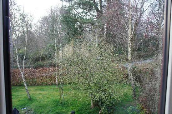 Bramble Rock