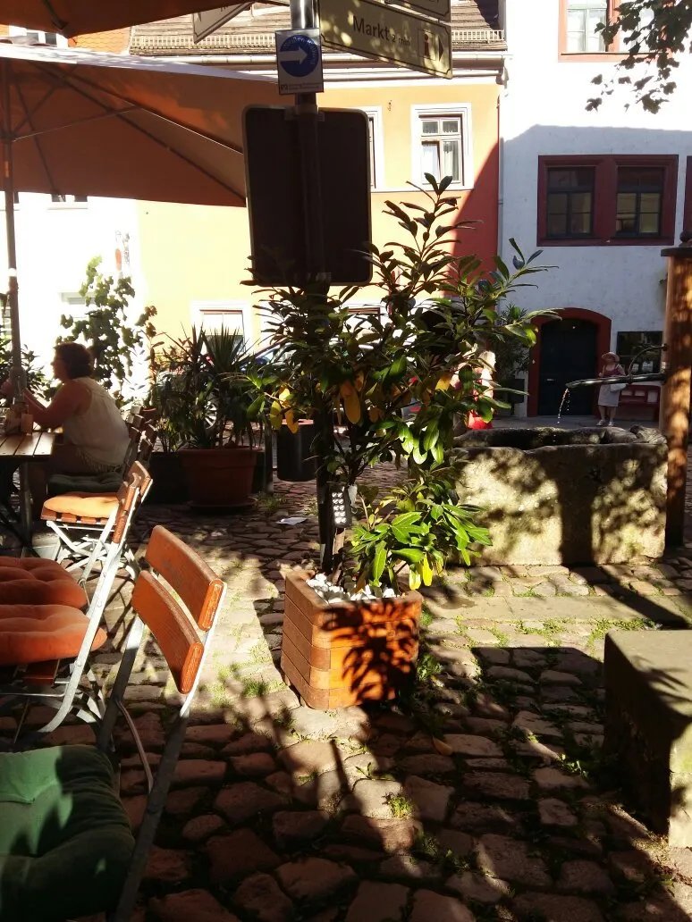 Fuchshohl Restaurant Punjabi Haveli