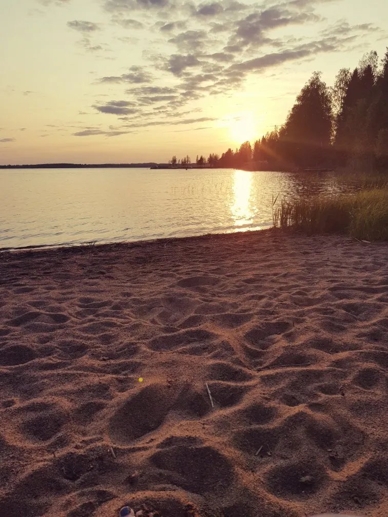 Koivuniemi