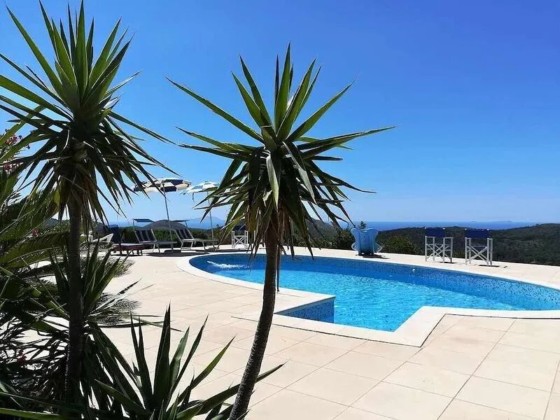 Villa Saha beautiful mansion surrounded by olive trees