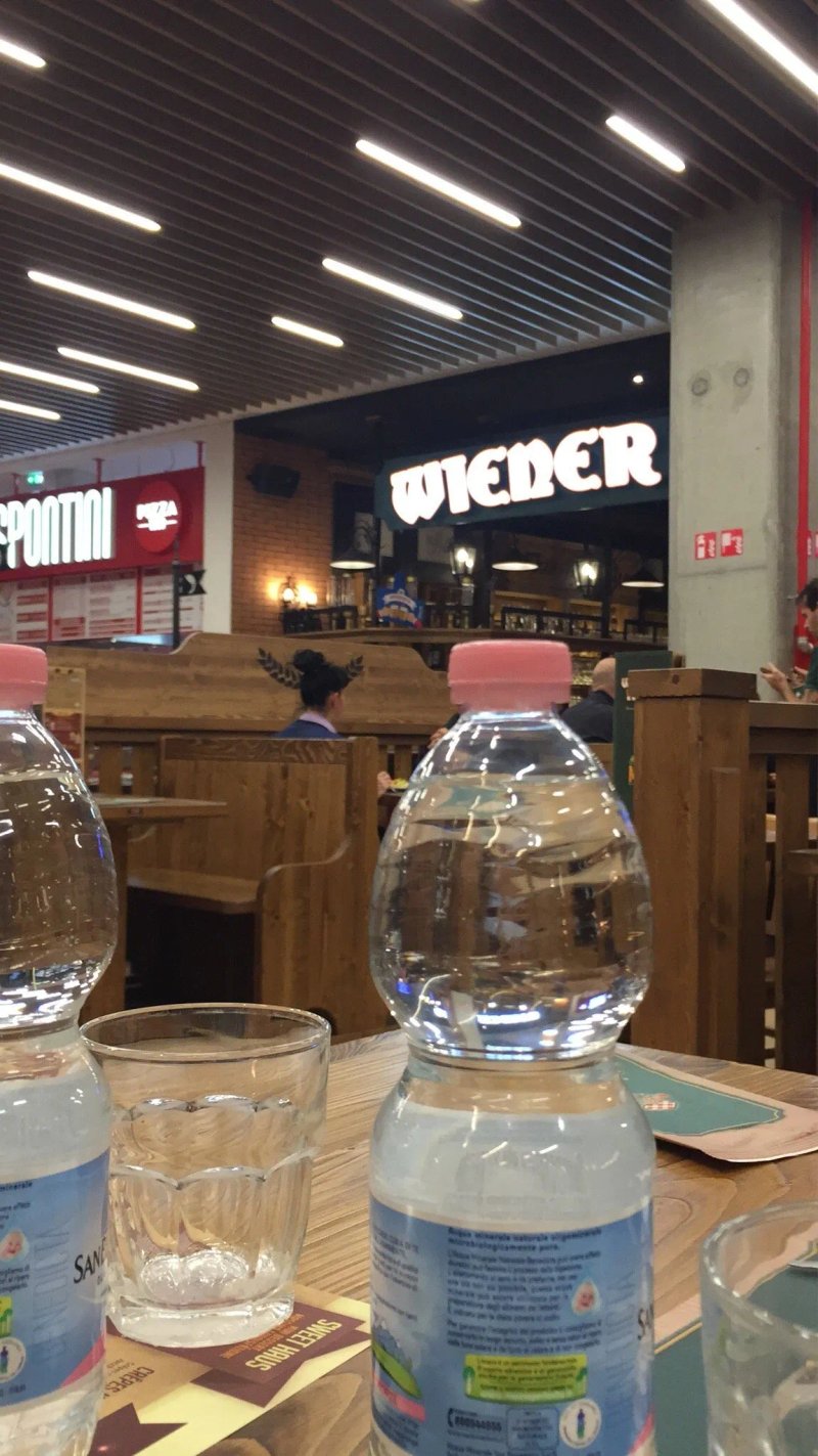 Wiener Haus