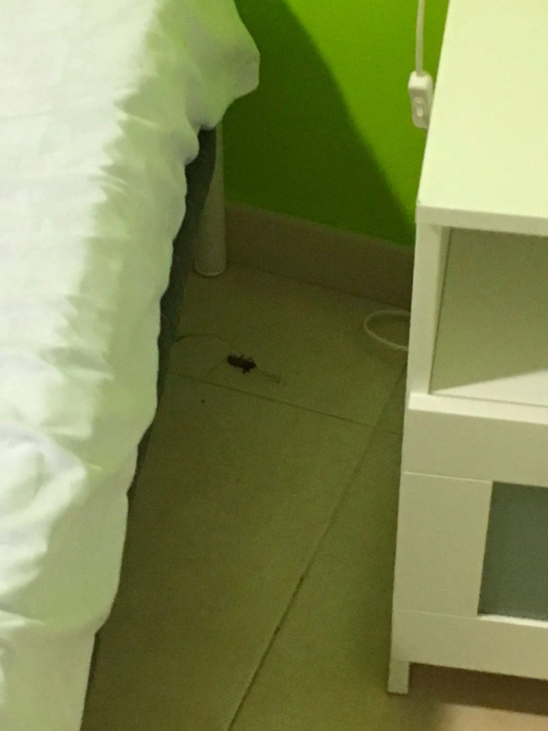 Apartamentos Plaza del Salvador