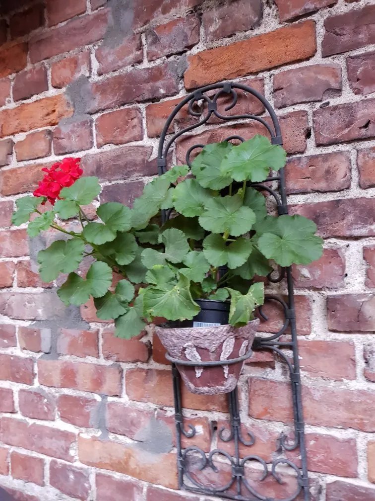 Bakgarden Restaurant og Kaffebrenneri